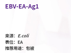 EBV-EA-Ag1