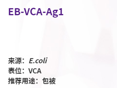 EB-VCA-Ag1