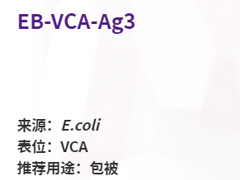 EB-VCA-Ag3