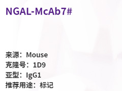 NGAL-McAb7#