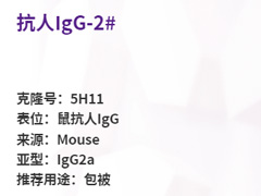 抗人IgG-2#